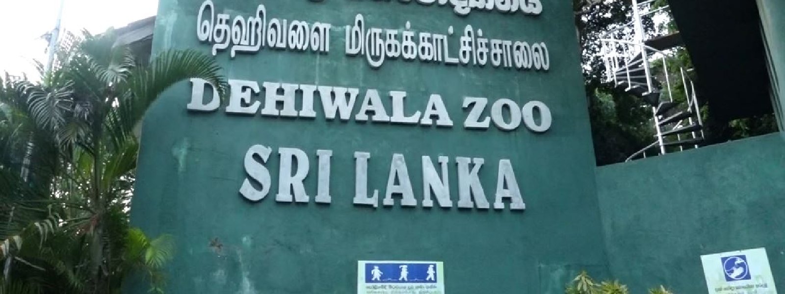 பிரதான பாதுகாப்பு அதிகாரி உயிரிழப்பு